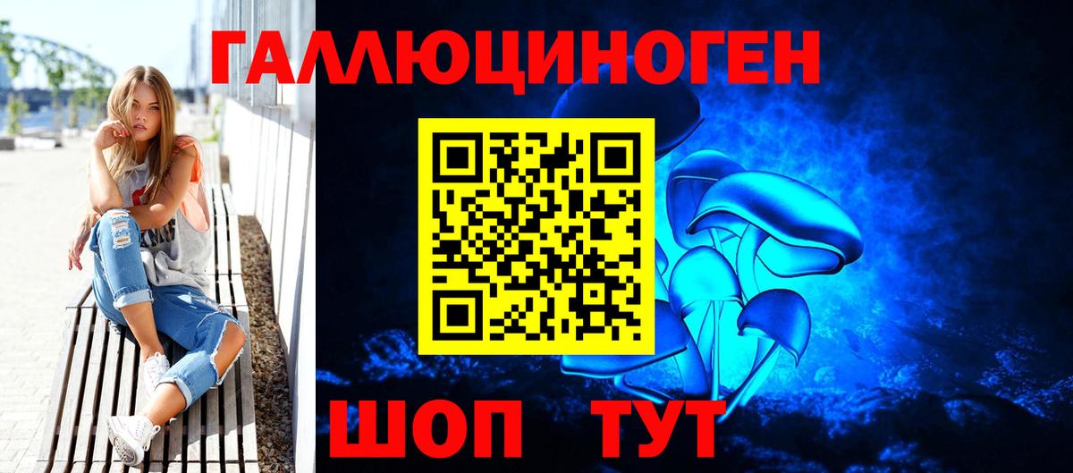 Псилоцибиновые грибы Cubensis Глазов