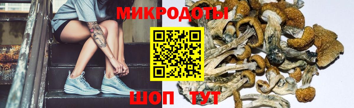 Глазов  Псилоцибиновые грибы ЛСД  Вход с VPN 